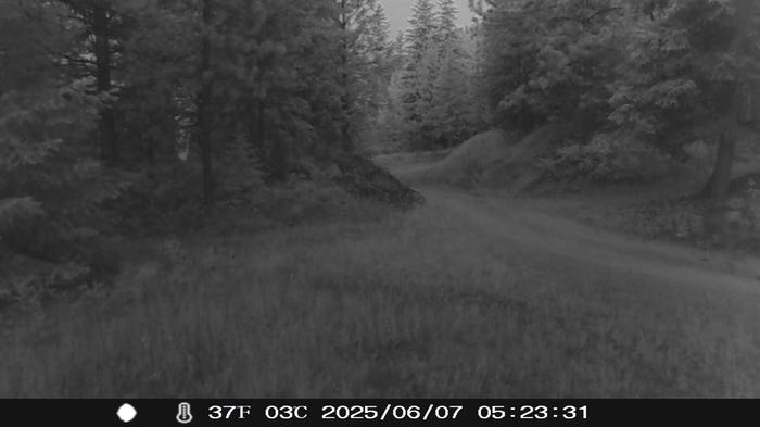 [Thumbnail for CB-cam-check-road-night-photo-7.JPG]