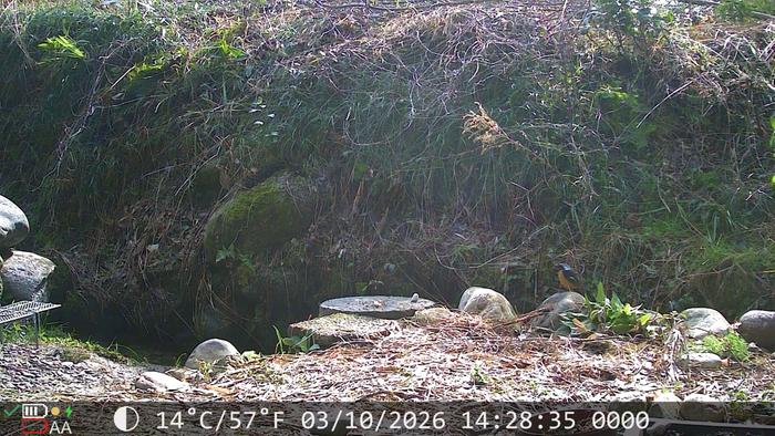 Back again... And on the same rock