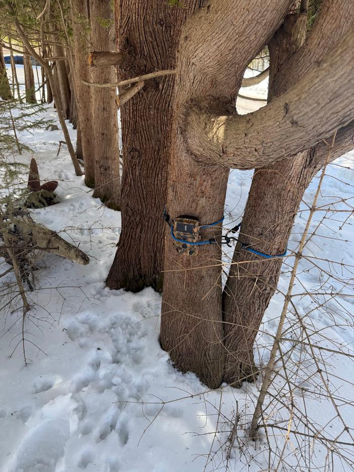 [Thumbnail for remounted.jpg]