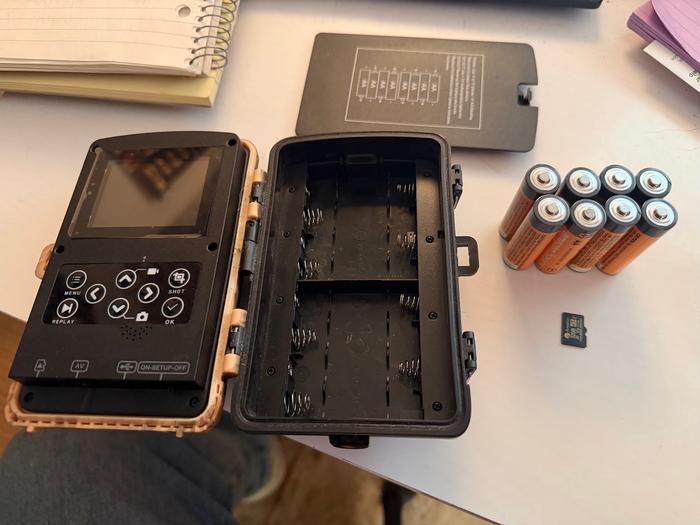 [Thumbnail for innardsAndFreshies.jpg]