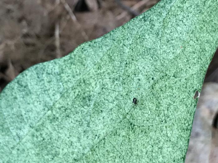 [Thumbnail for IMG_0526-(1).jpg]