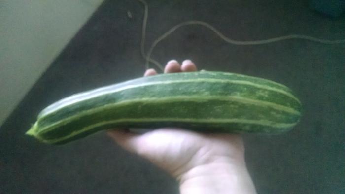 [Thumbnail for IMG_20190717_071412997.jpg]