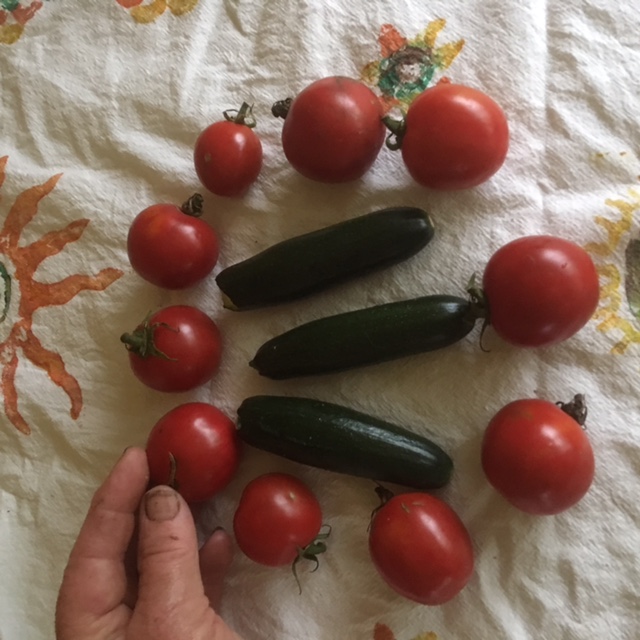 [Thumbnail for image.jpeg]