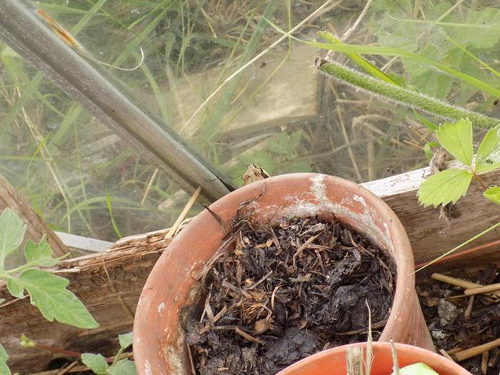 [Thumbnail for T2.jpg]