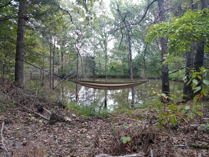 [Thumbnail for IMG_20180923_122704742.jpg]