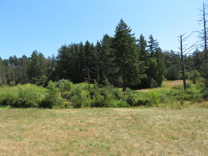 This is near the old filter beds. The city water used to come from this lake and the water would pass through these reedy sand ponds before being piped into water towers in town.