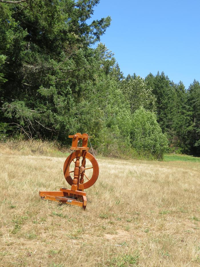 I like the story this tells of being in the middle of the field with trees in the background. But to get the trees and horizon straight, the wheel was on a slant. This would be a good setting to play with depth of field.