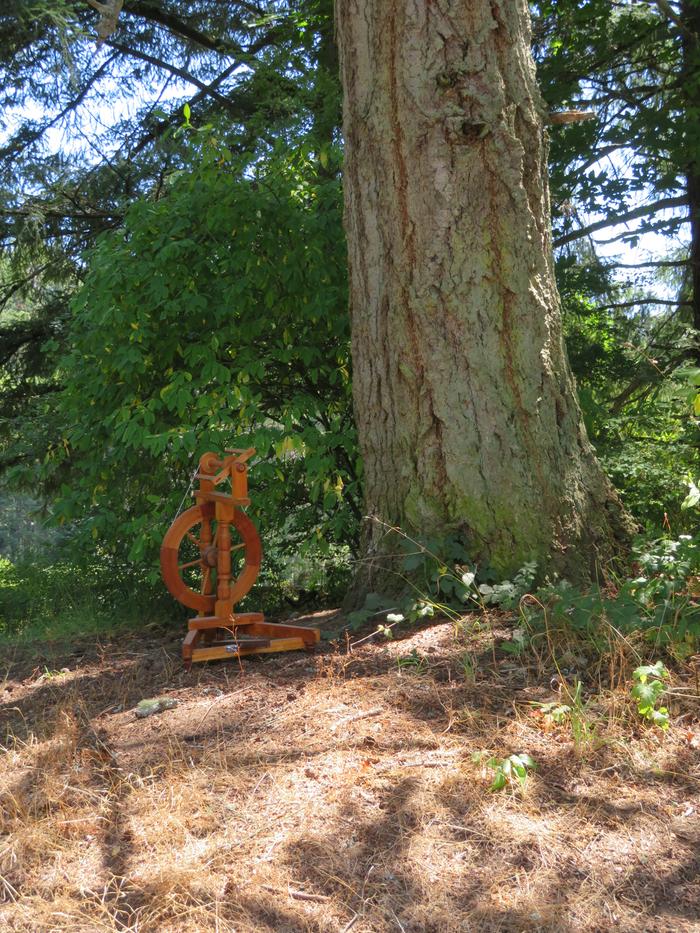 I'm in the shade, the wheel is in the shade. Here's a nice tree to divide the picture at the third line. But the lighting is all wrong. There's no pzazz to this picture.