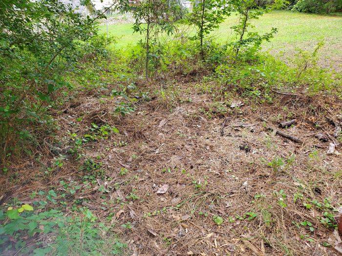 After combing the entire landscape, especially this area that had decades worth of old rusted metal, nails, broken glass, etc, things were right again.