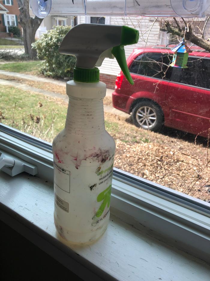 Glass cleaner: equal parts rubbing alcohol, vinegar, and water