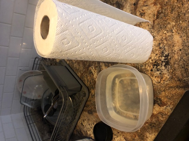 Container of warm water and paper towels