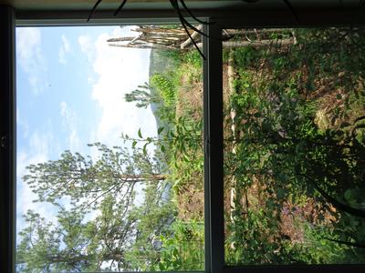 Before: window 4