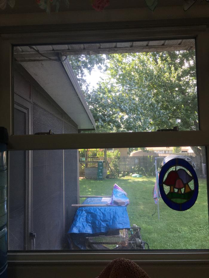 Dirty window #1