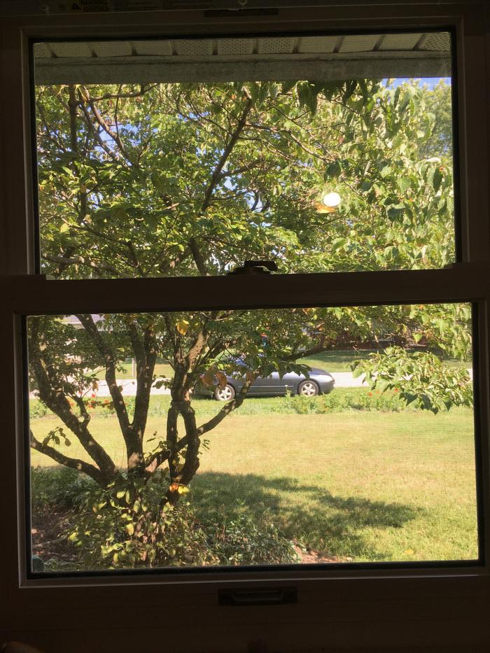 Dirty window #2