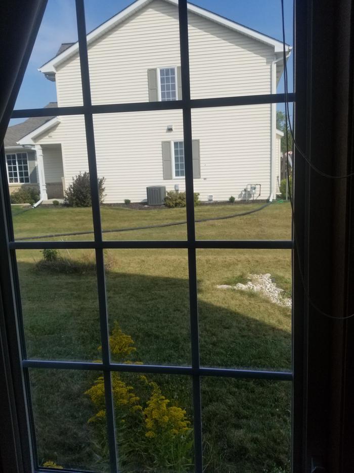 clean window 2