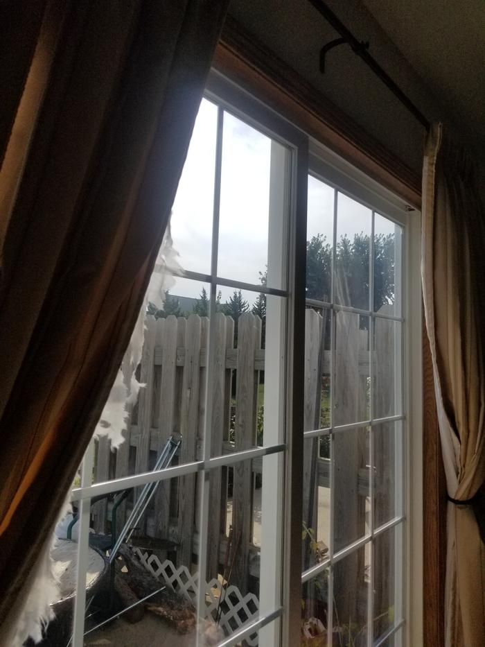 clean window 4