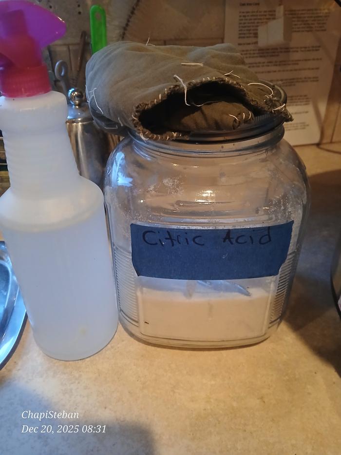 My cleaning solution consisted of warm water and citric acid