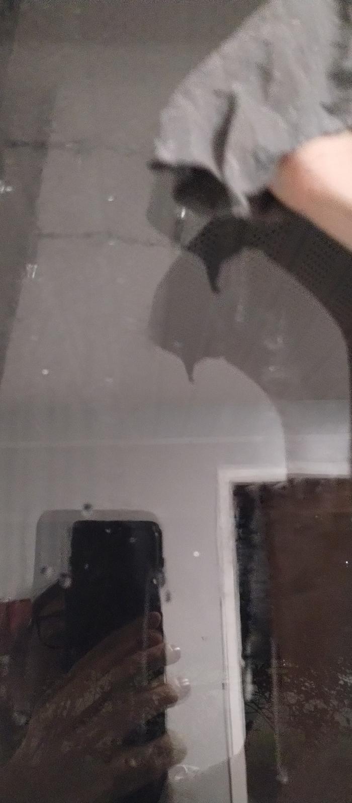 cleaning int 4