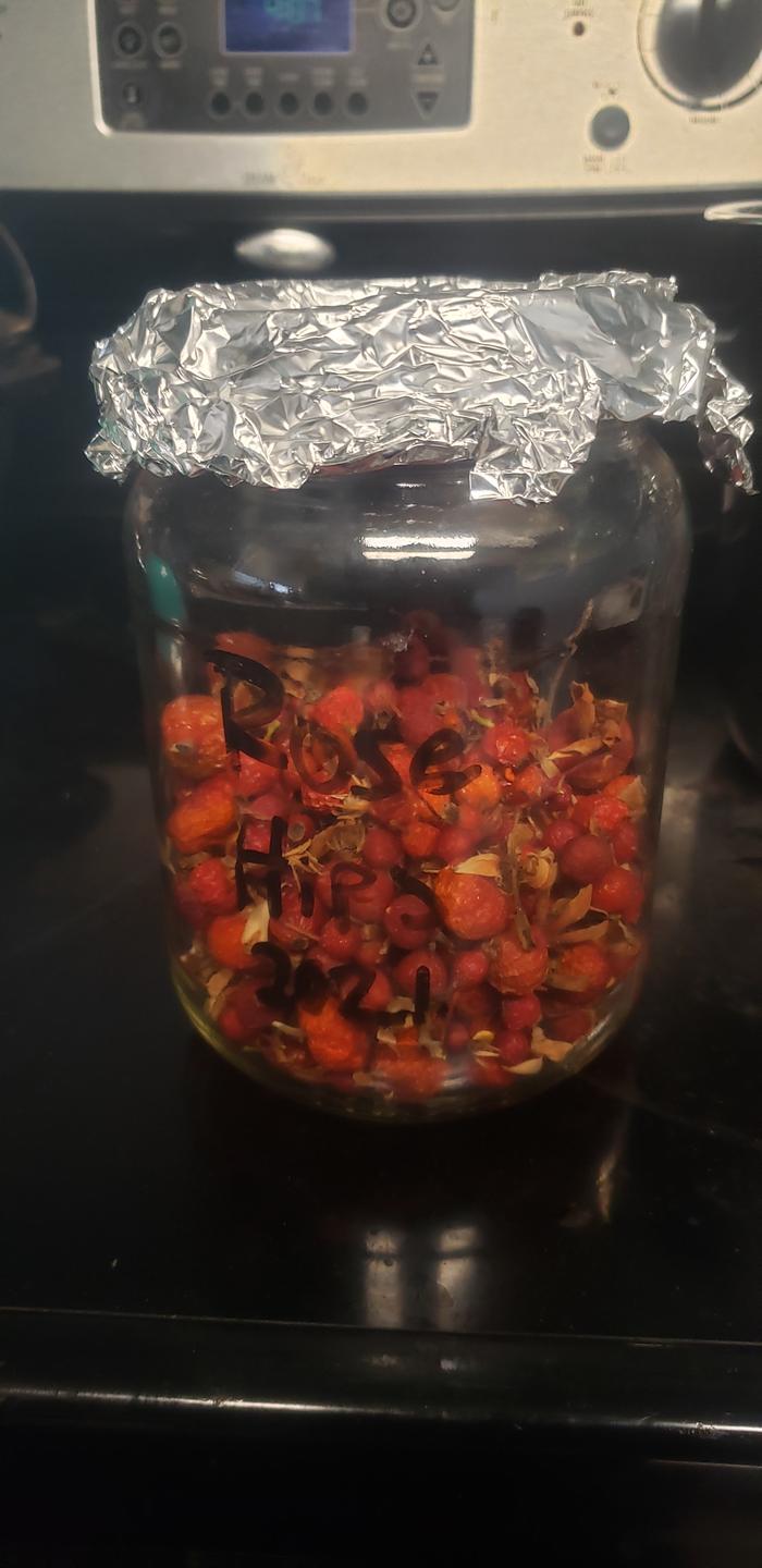 Dried rose hips