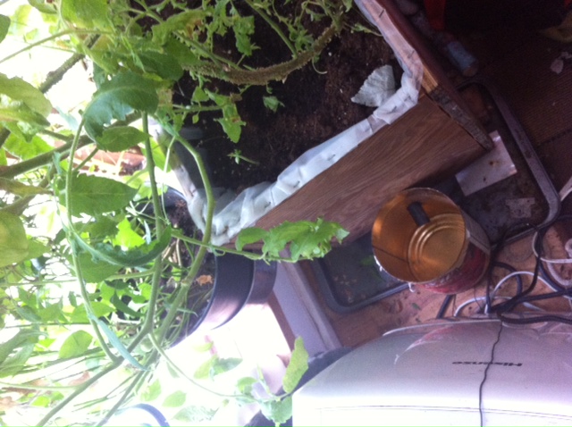 [Thumbnail for photo-3.JPG]