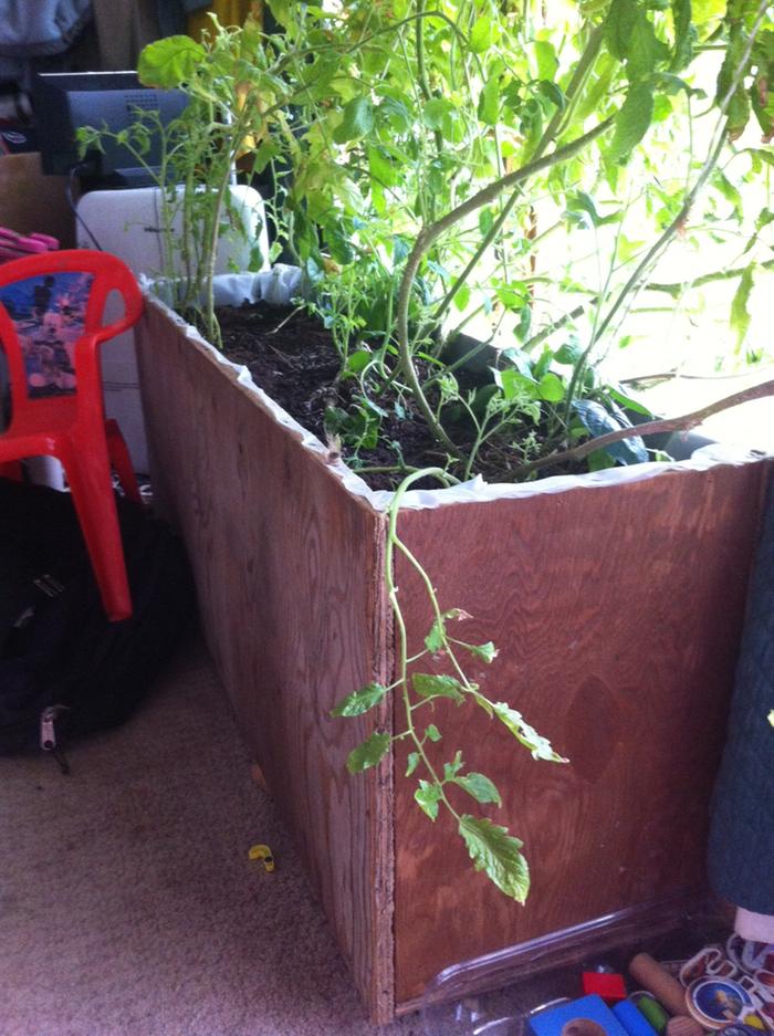 [Thumbnail for photo-2.JPG]