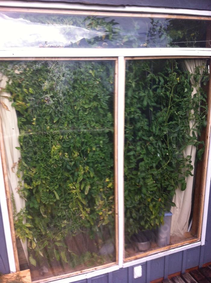 [Thumbnail for photo-3.JPG]