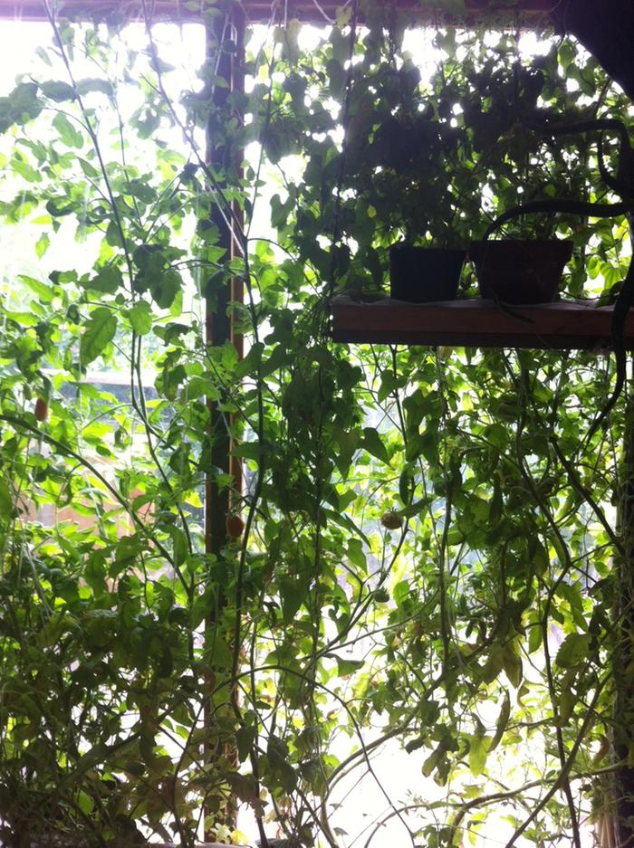 [Thumbnail for photo-(4).JPG]