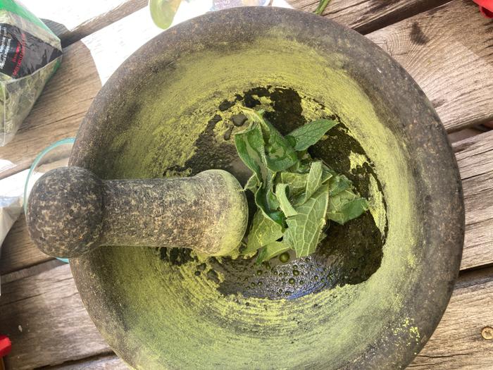 Water a s comfrey in the mortal and pestle 