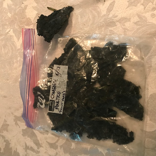 Final poutices after freezing flat and breaking into pieces for storage.
