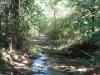[Thumbnail for Lost-Valley-Creek.png]