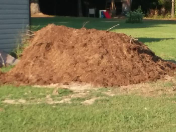 [Thumbnail for 20190805_190946.jpg]