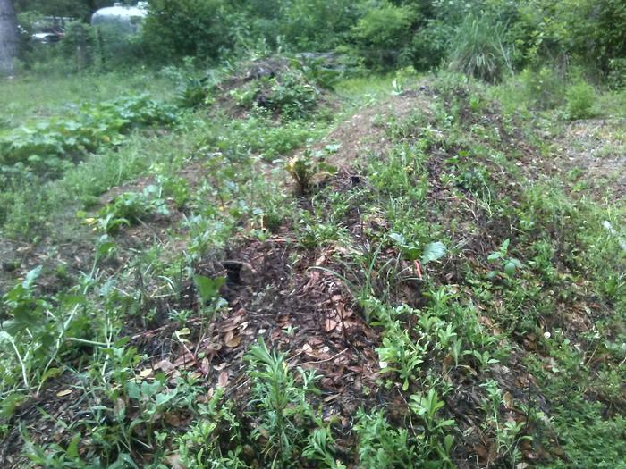 Largest mound