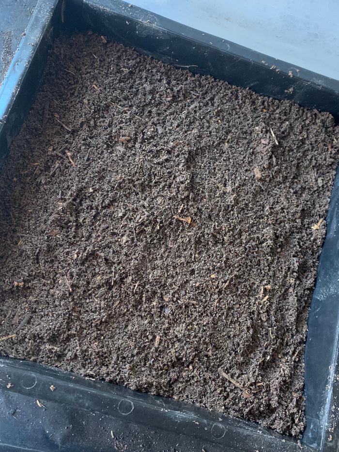 Made some mediocre potting mix