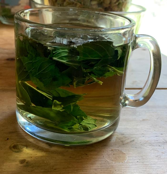 Peppermint tea from the garden