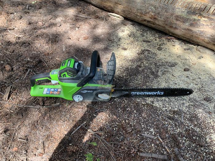 Electric chainsaw