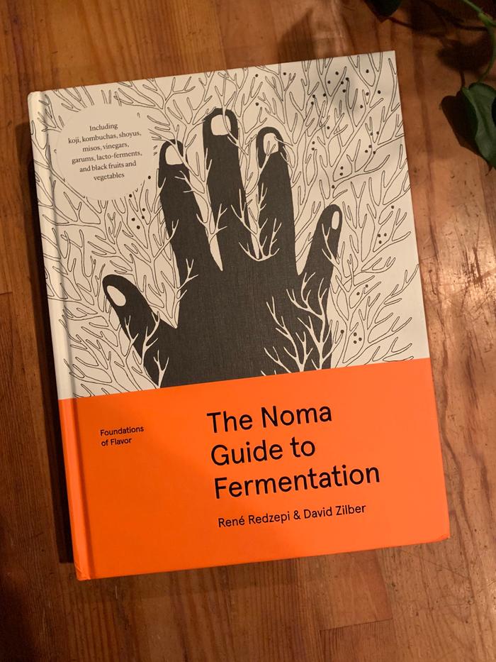 Noma Guide to Fermentation