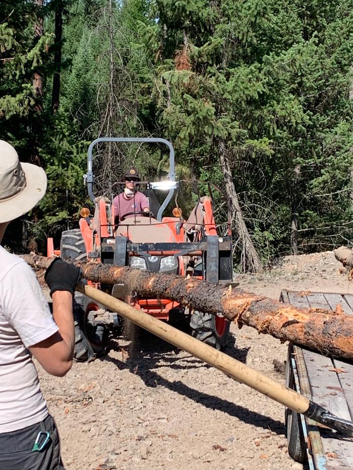 Jaqi moving the logs