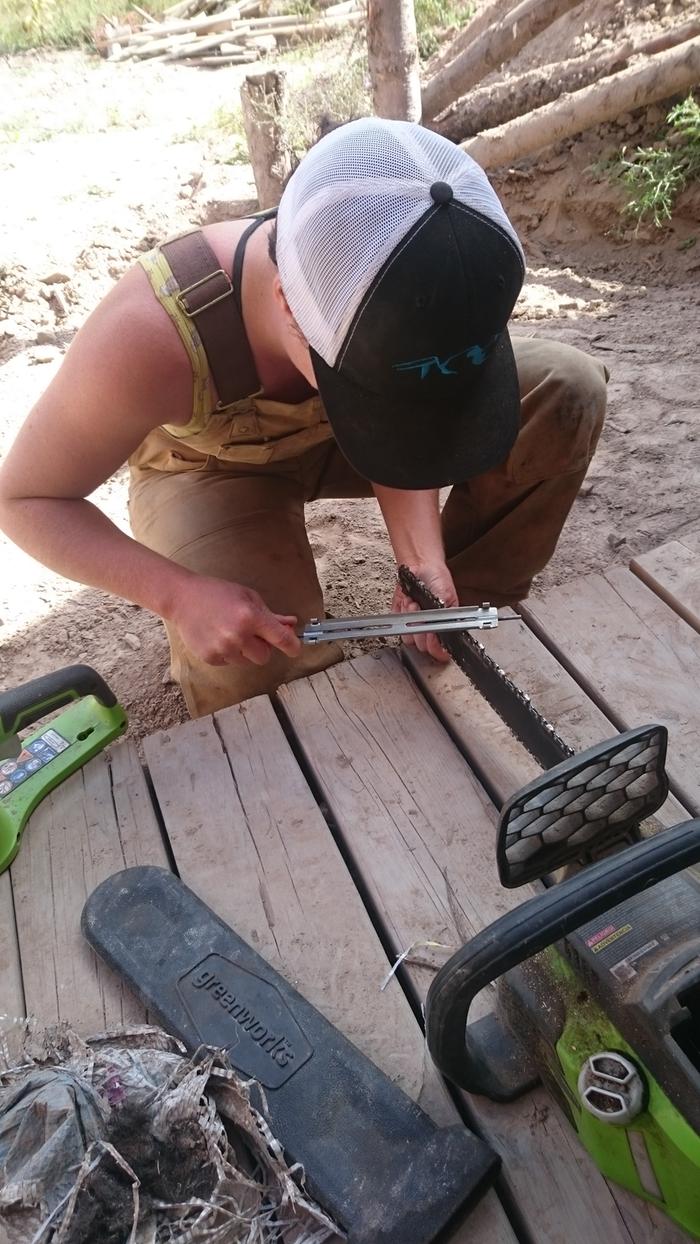 Sharpening a chainsaw