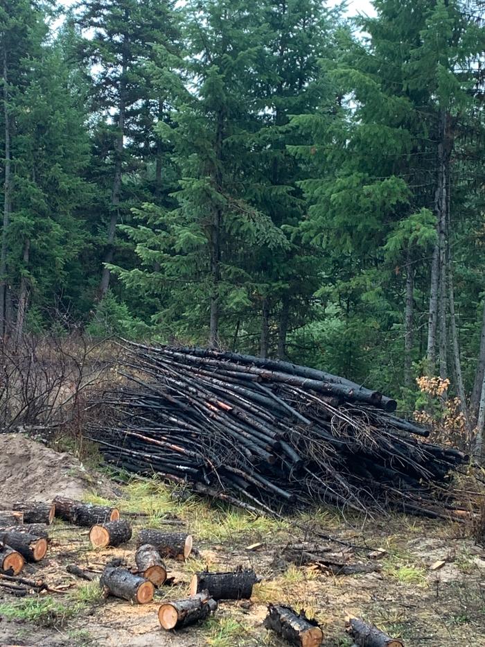 Junkpoles awaiting fence construction at the Abbey, plus firewood I&rsquo;m bucking up