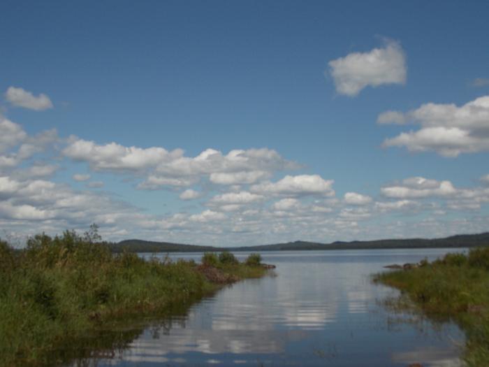 [Thumbnail for DSCN0695.JPG]