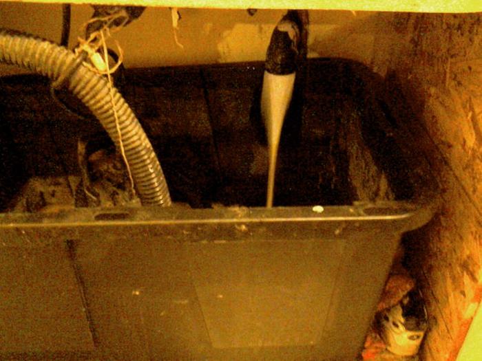 [Thumbnail for IMG_20190816_133229.jpg]