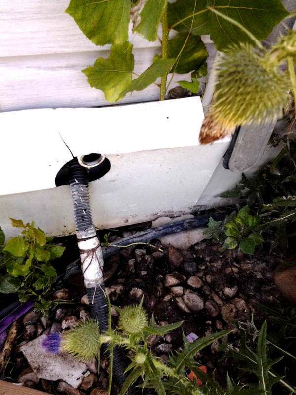 [Thumbnail for IMG_20190816_133111.jpg]