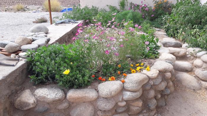 Stone raised bed in an an attached greenhouse with glazing removed