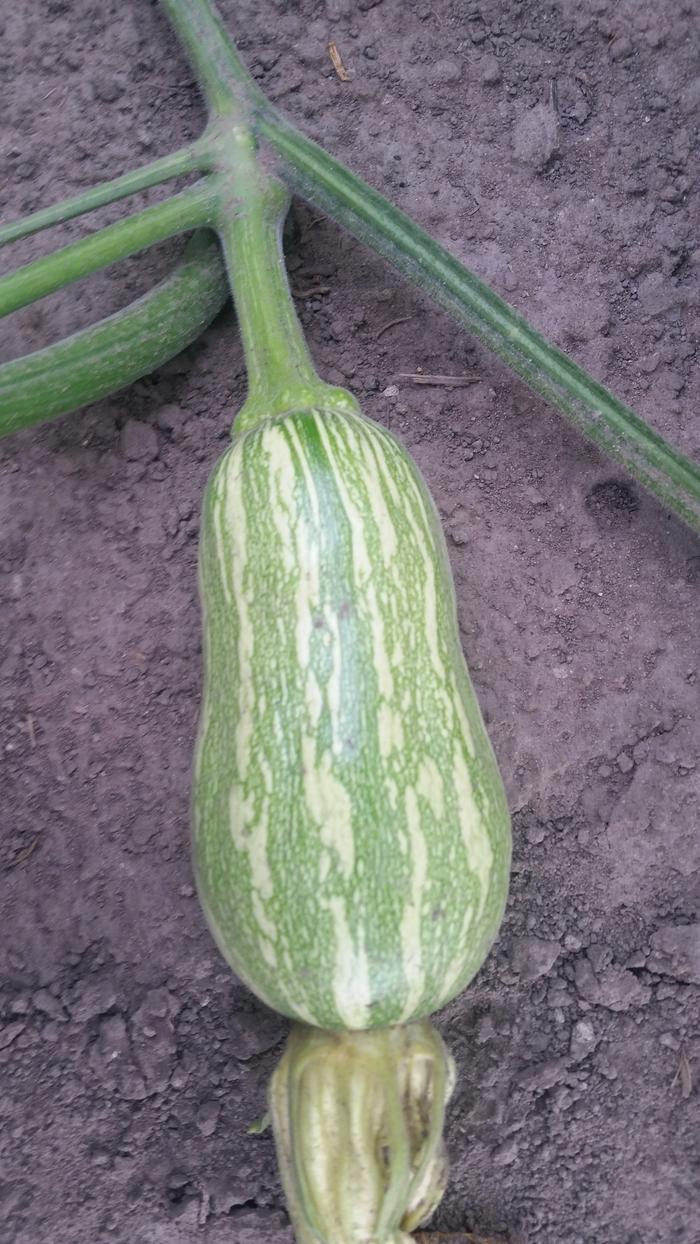 [Thumbnail for 20190824_083914.jpg]