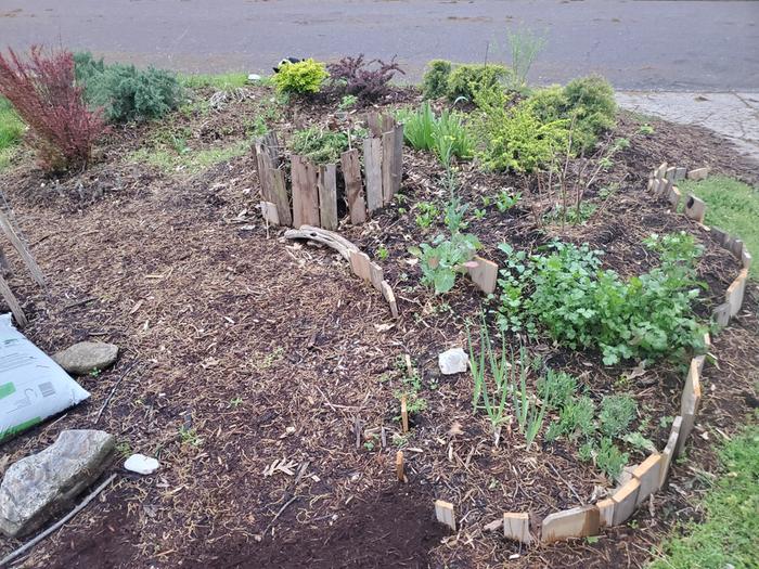 food-forest-garden-kerbside