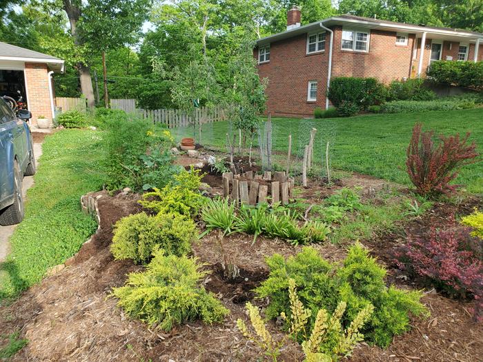 food-forest-garden-kerbside