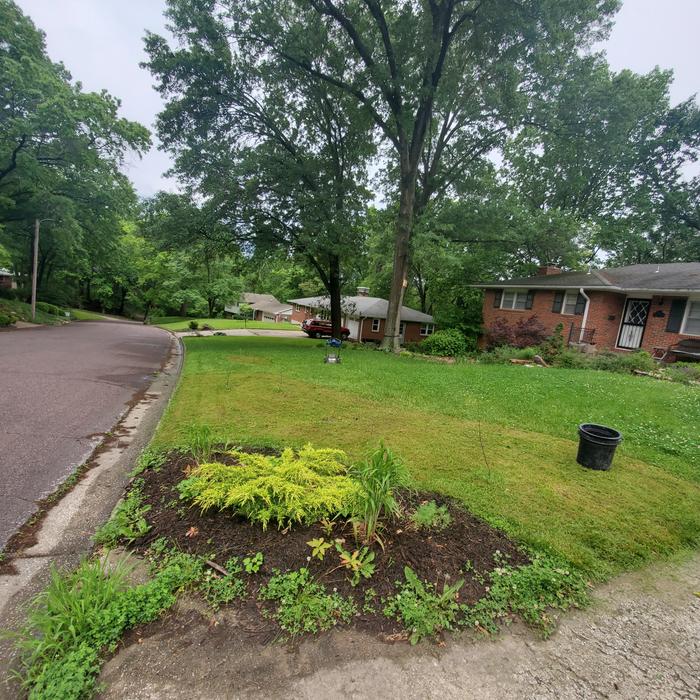 food-forest-garden-kerbside
