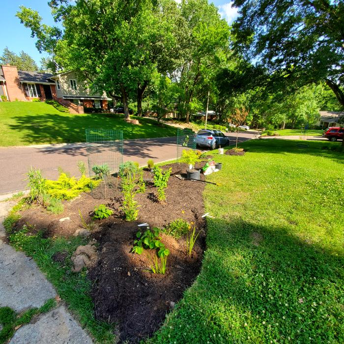 food-forest-garden-kerbside-growing