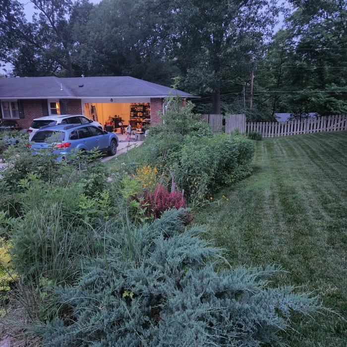 food-forest-garden-kerbside-ornamental