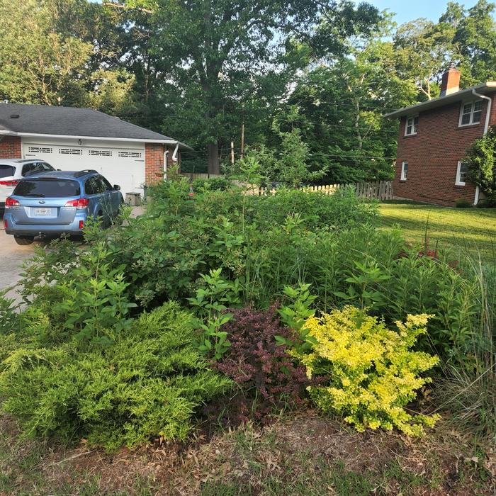 food-forest-garden-kerbside-before-after
